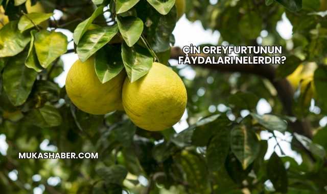 Çin Greyfurtunun Faydaları Nelerdir?