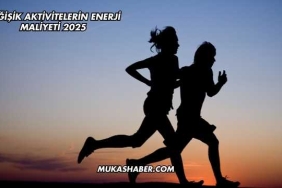 Değişik Aktivitelerin Enerji Maliyeti 2025