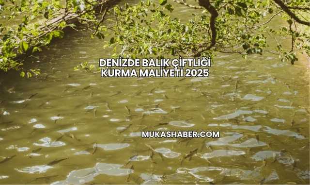 Denizde Balık Çiftliği Kurma Maliyeti 2025