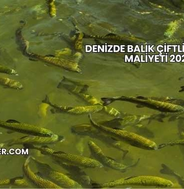 Denizde Balık Çiftliği Kurma Maliyeti 2025