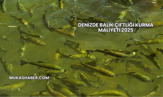 Denizde Balık Çiftliği Kurma Maliyeti 2025