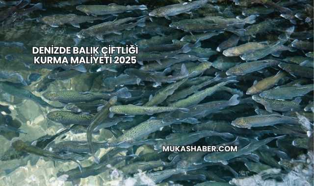 Denizde Balık Çiftliği Kurma Maliyeti 2025