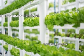 Dikey Tarım Maliyeti 2025