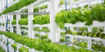 Dikey Tarım Maliyeti 2025