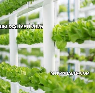 Dikey Tarım Maliyeti 2025