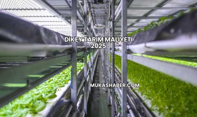 Dikey Tarım Maliyeti 2025