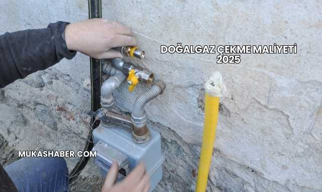 Doğalgaz Çekme Maliyeti 2025
