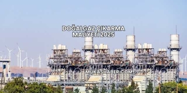 Doğalgaz Çıkarma Maliyeti 2025