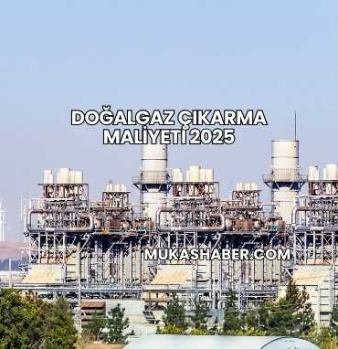 Doğalgaz Çıkarma Maliyeti 2025