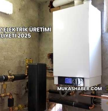 Doğalgaz Elektrik Üretimi Maliyeti 2025