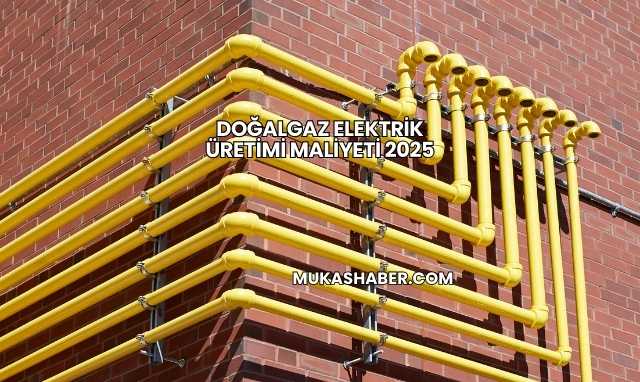 Doğalgaz Elektrik Üretimi Maliyeti 2025