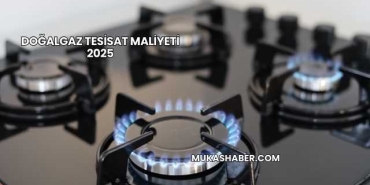 Doğalgaz Tesisat Maliyeti 2025