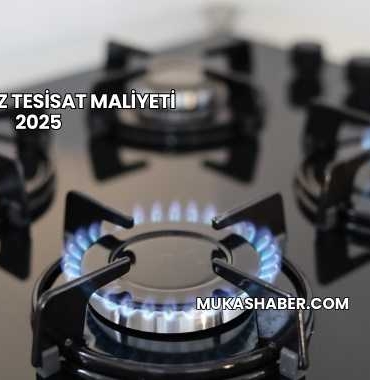 Doğalgaz Tesisat Maliyeti 2025