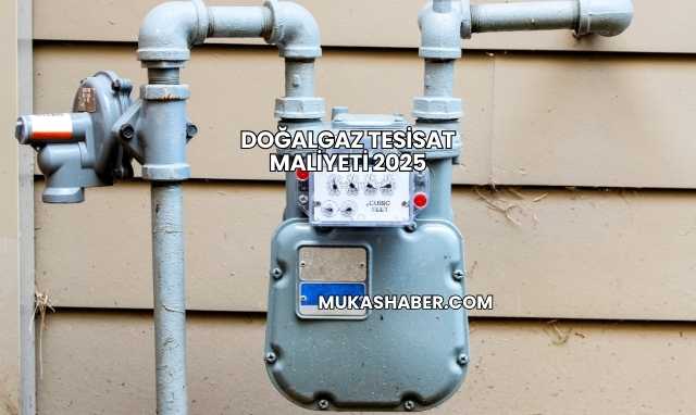 Doğalgaz Tesisat Maliyeti 2025