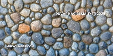 Duvar Kağıdı Maliyeti 2025