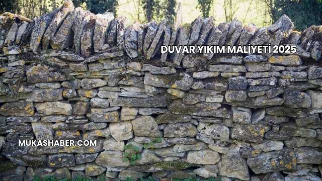 Duvar Yıkım Maliyeti 2025