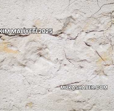 Duvar Yıkım Maliyeti 2025