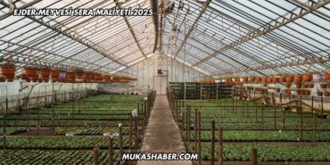 Ejder Meyvesi Sera Maliyeti 2025