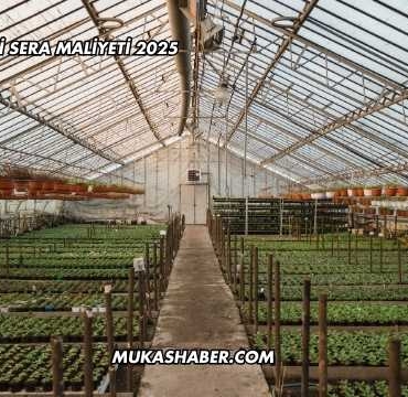 Ejder Meyvesi Sera Maliyeti 2025