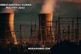 Enerji Santrali Kurma Maliyeti 2025