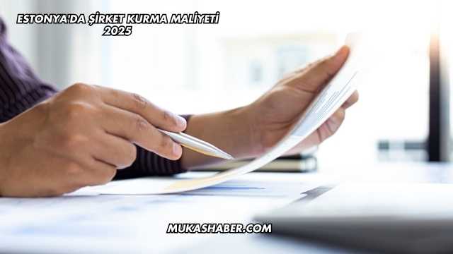 Estonya'da Şirket Kurma Maliyeti 2025