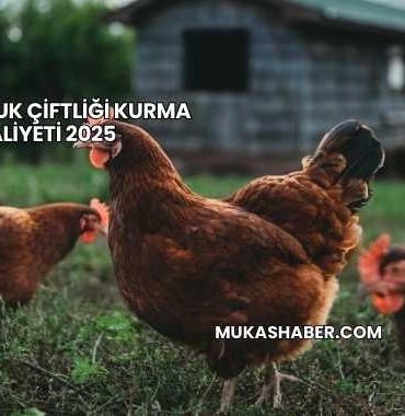 Etlik Tavuk Çiftliği Kurma Maliyeti 2025