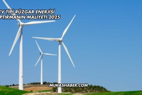 Ev Tipi Rüzgar Enerjisi Yaptırmanın Maliyeti 2025