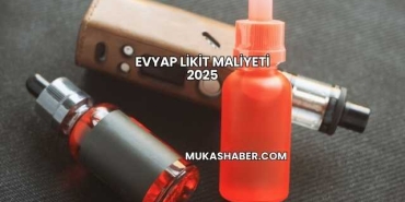 Evyap Likit Maliyeti 2025