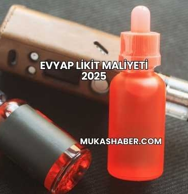 Evyap Likit Maliyeti 2025