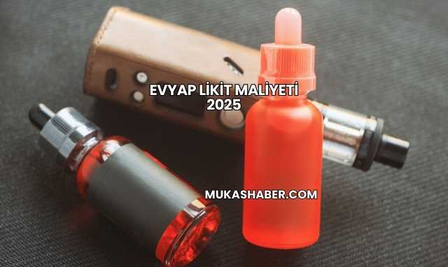 Evyap Likit Maliyeti 2025