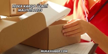 FedEx Kargo Ücreti Maliyeti 2025