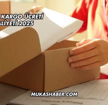 FedEx Kargo Ücreti Maliyeti 2025