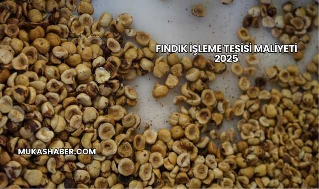 Fındık İşleme Tesisi Maliyeti 2025