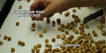 Fındık İşleme Tesisi Maliyeti 2025