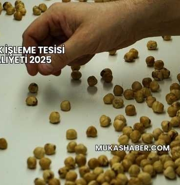 Fındık İşleme Tesisi Maliyeti 2025