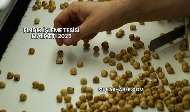 Fındık İşleme Tesisi Maliyeti 2025