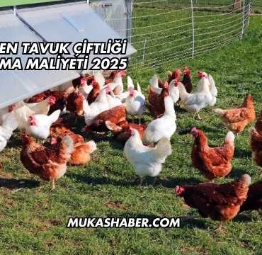 Gezen Tavuk Çiftliği Kurma Maliyeti 2025