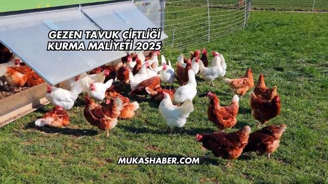Gezen Tavuk Çiftliği Kurma Maliyeti 2025
