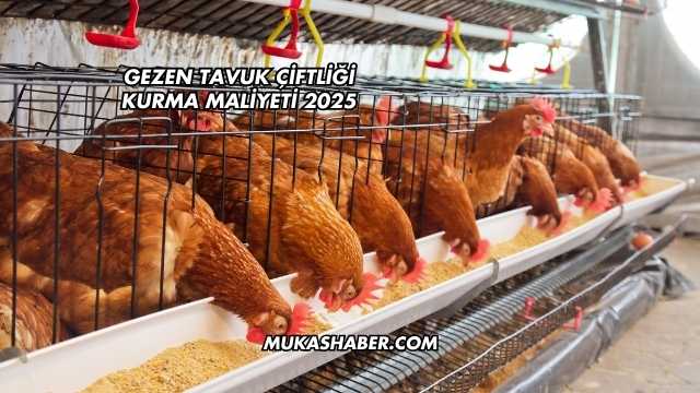 Gezen Tavuk Çiftliği Kurma Maliyeti 2025