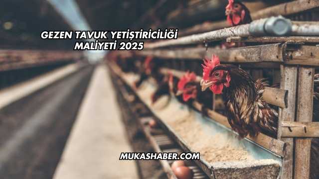 Gezen Tavuk Yetiştiriciliği Maliyeti 2025