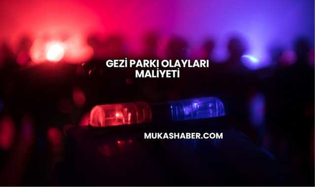 Gezi Parkı Olayları Maliyeti