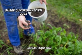 Gübre Çukuru Maliyeti 2025