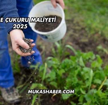 Gübre Çukuru Maliyeti 2025