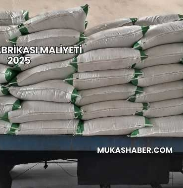 Gübre Fabrikası Maliyeti 2025