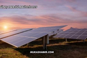 Güneş Enerjisi Maliyeti 2025