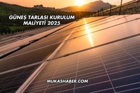 Güneş Tarlası Kurulum Maliyeti 2025