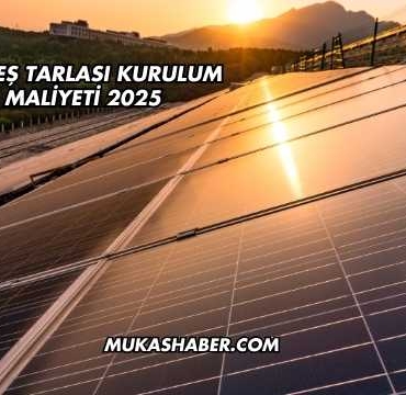 Güneş Tarlası Kurulum Maliyeti 2025