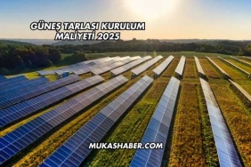 Güneş Tarlası Kurulum Maliyeti 2025