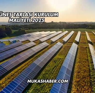 Güneş Tarlası Kurulum Maliyeti 2025