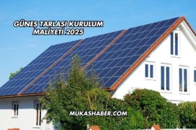 Güneş Tarlası Kurulum Maliyeti 2025 (3)(1)